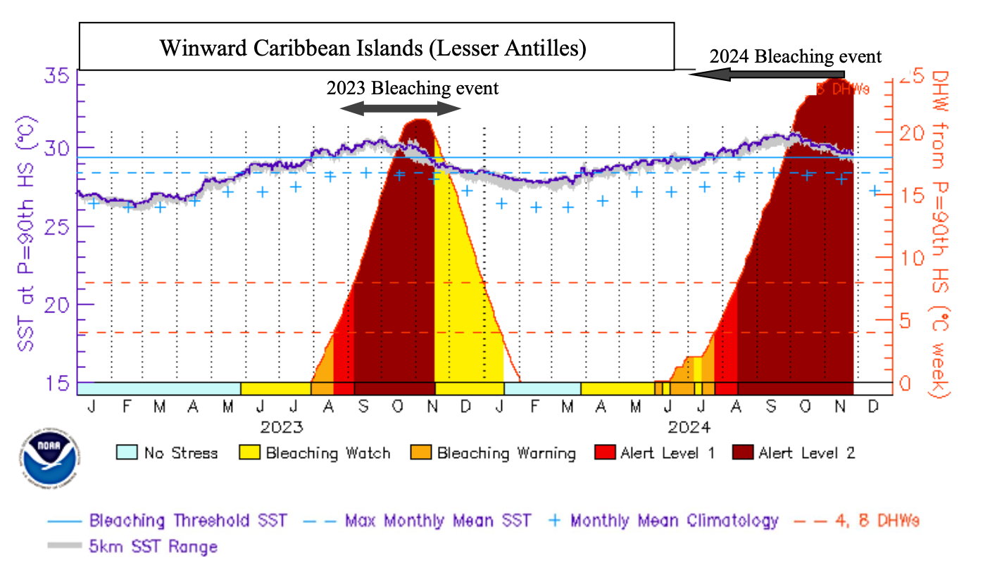 IFRECOR Release 2023 – 2024 Coral Bleaching Report for the French ...