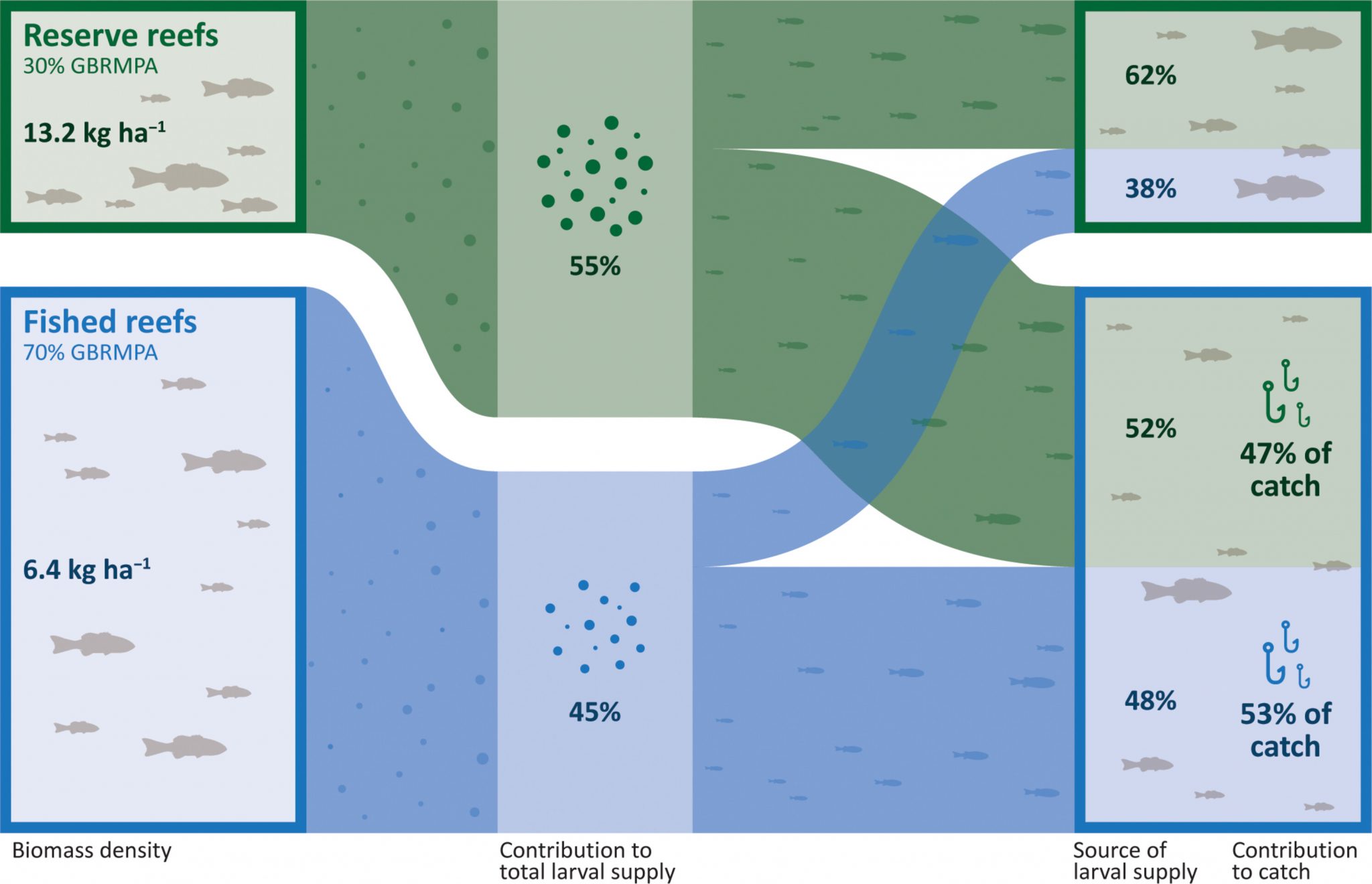No-take marine reserves Great Barrier Reef supply nearly half of the ...