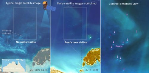 Reef discovery maps