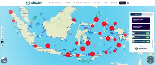 MERMAID_Indonesia